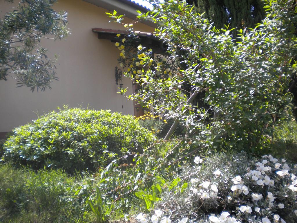 Le Tre Querce Bed and Breakfast Fiano Romano Esterno foto