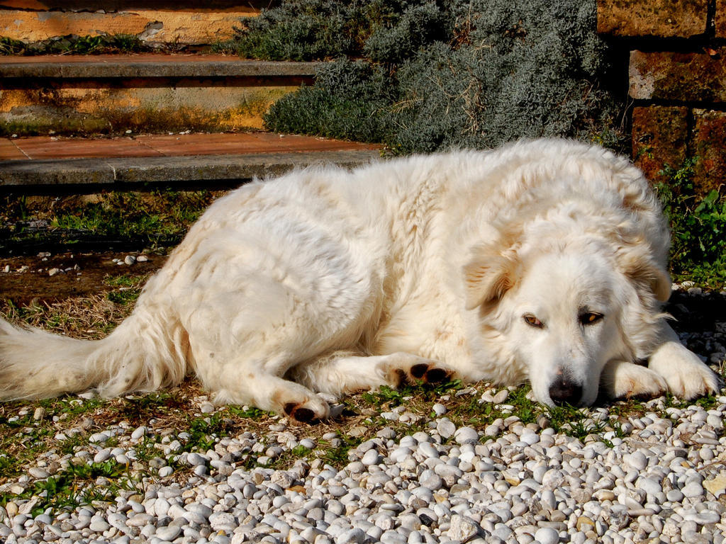 Le Tre Querce Bed and Breakfast Fiano Romano Esterno foto